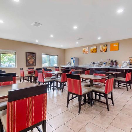 Comfort Suites Keeneland Λέξινγκτον Εξωτερικό φωτογραφία