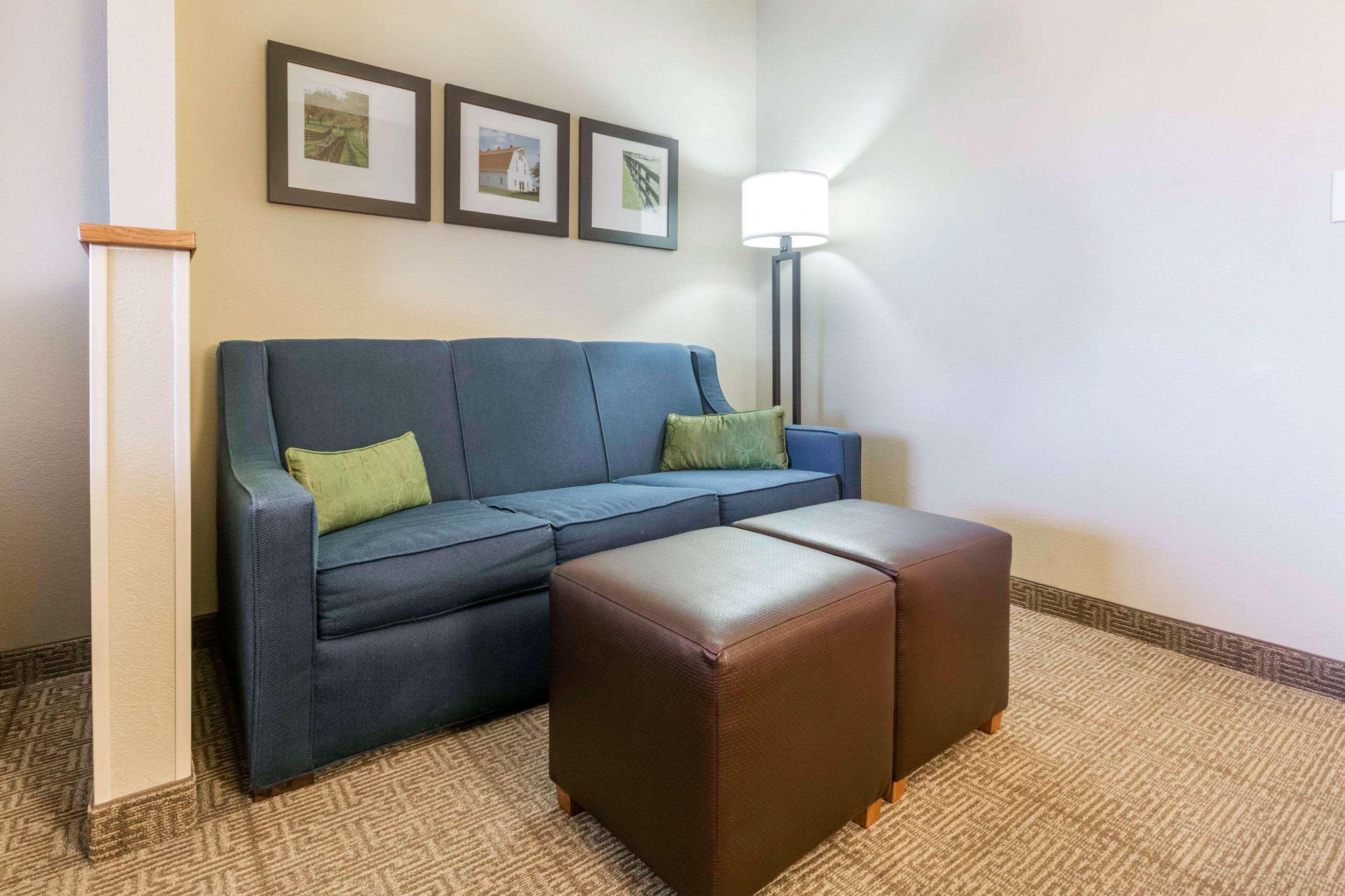 Comfort Suites Keeneland Λέξινγκτον Εξωτερικό φωτογραφία